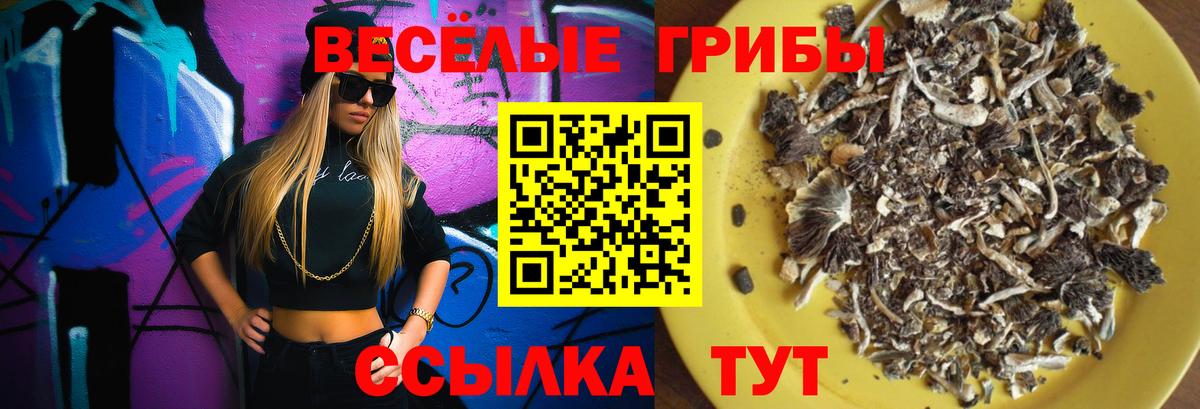 Псилоцибиновые грибы мицелий  Вход с VPN  Комсомольск-на-Амуре 