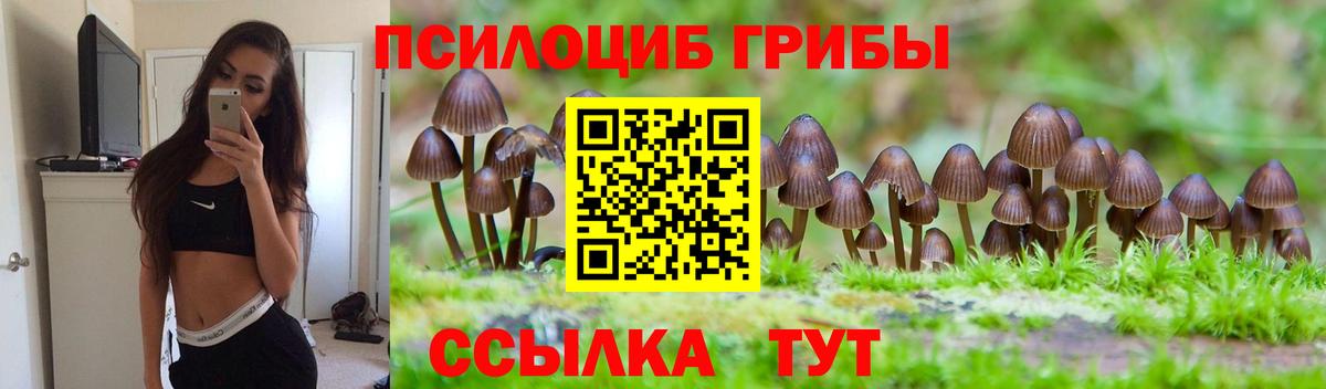 Псилоцибиновые грибы мухоморы Комсомольск-на-Амуре